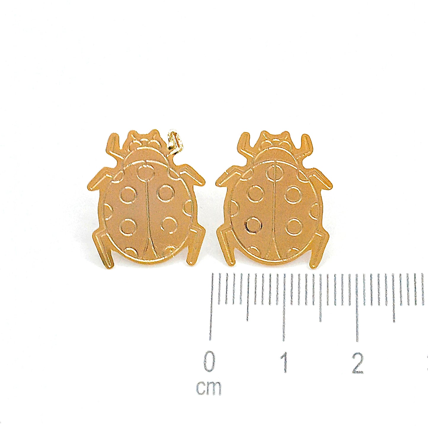 Topo bronce insecto
