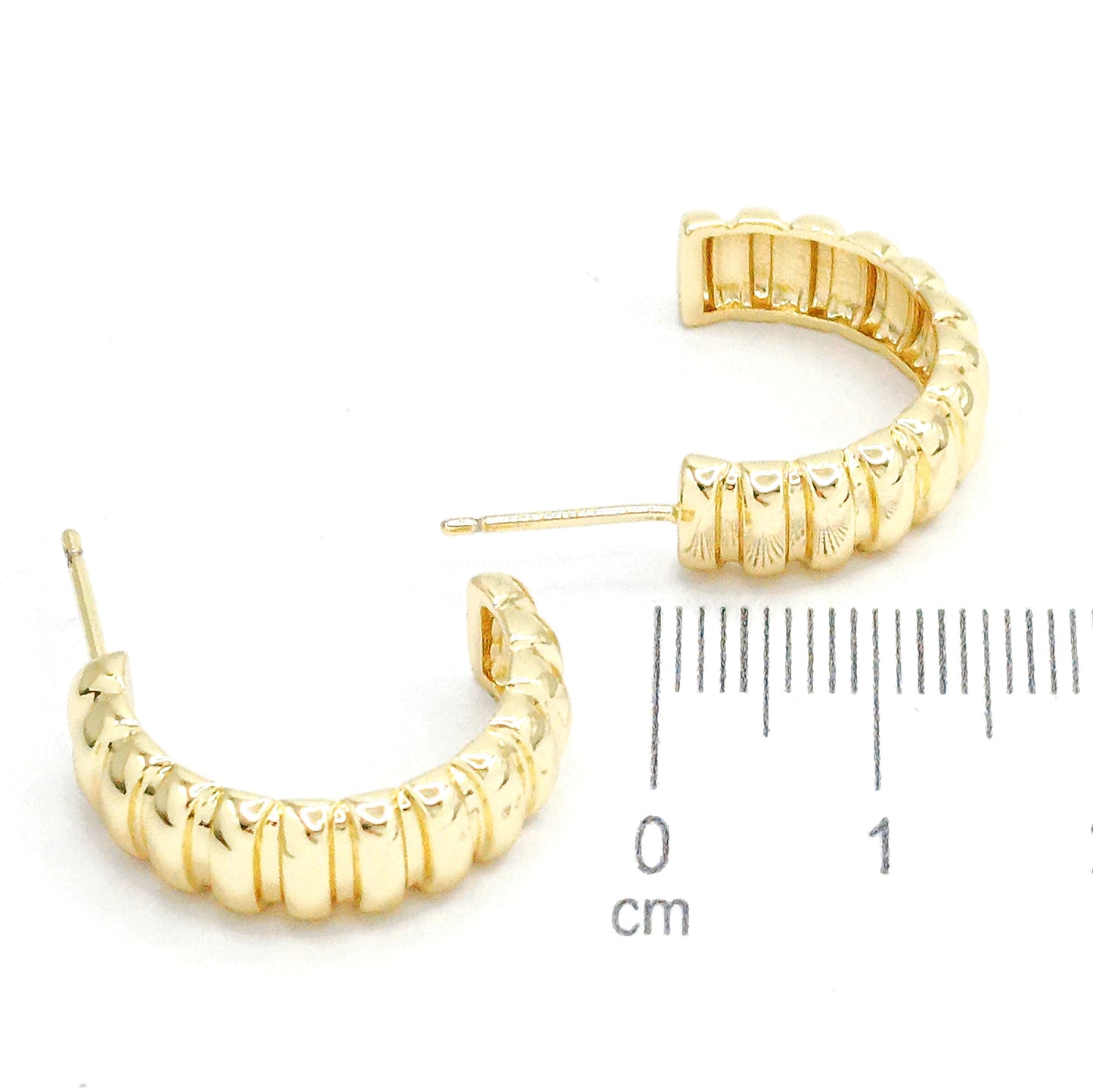 Candonga gde semi oruga (2cm)