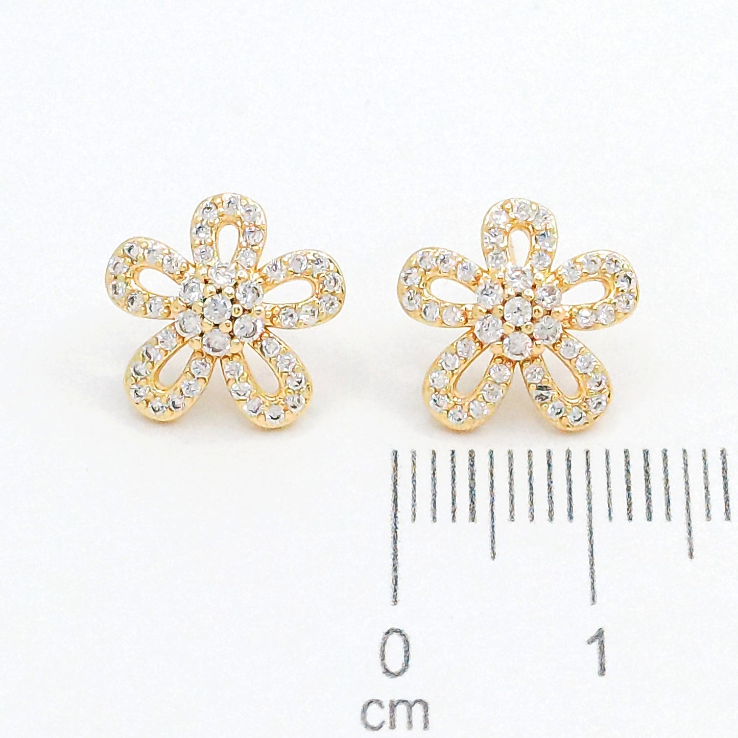 Topo microzircones