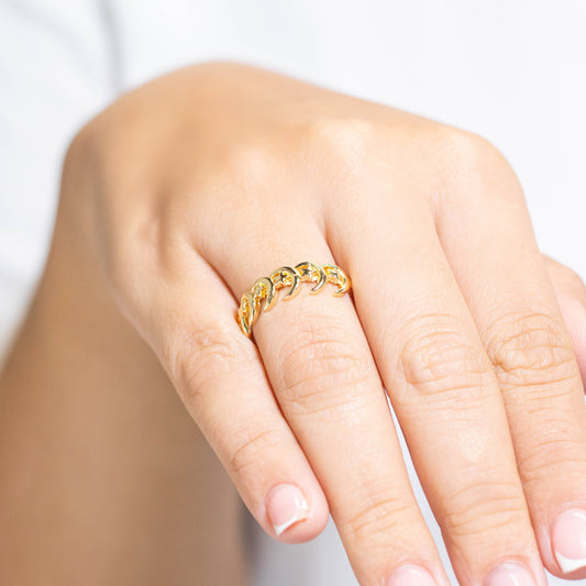 Anillo luna estrella