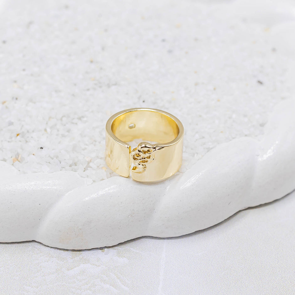 Anillo argolla