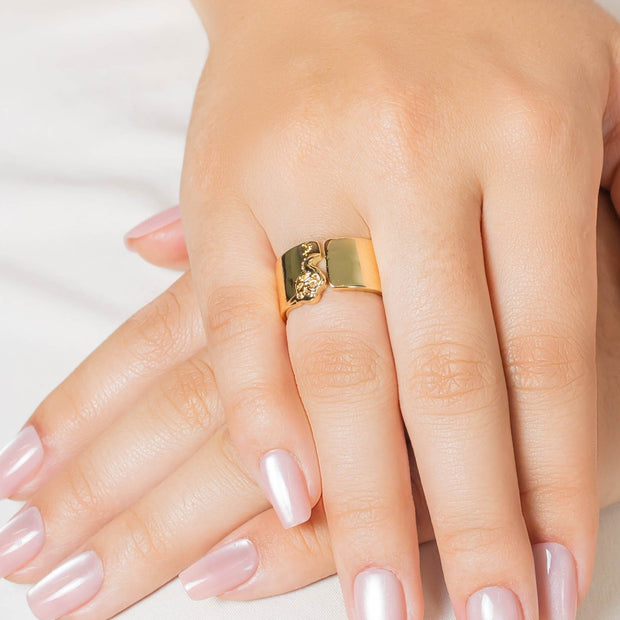 Anillo argolla