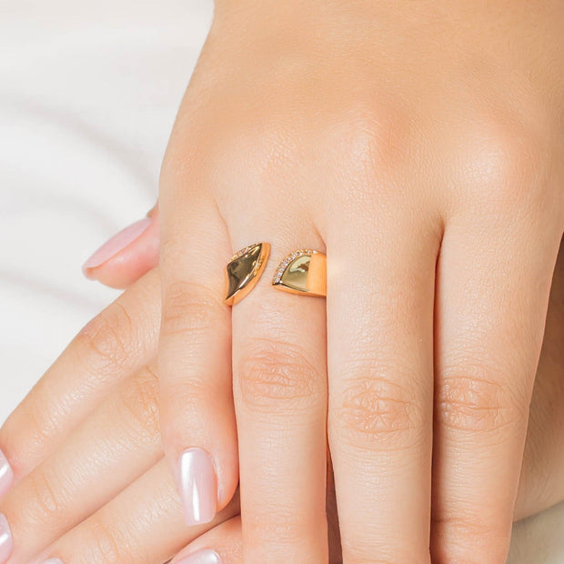 Anillo microzircón