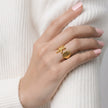 Anillo playero