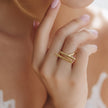 Anillo barras