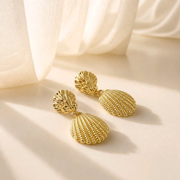 Arete concha
