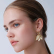 Arete hojas