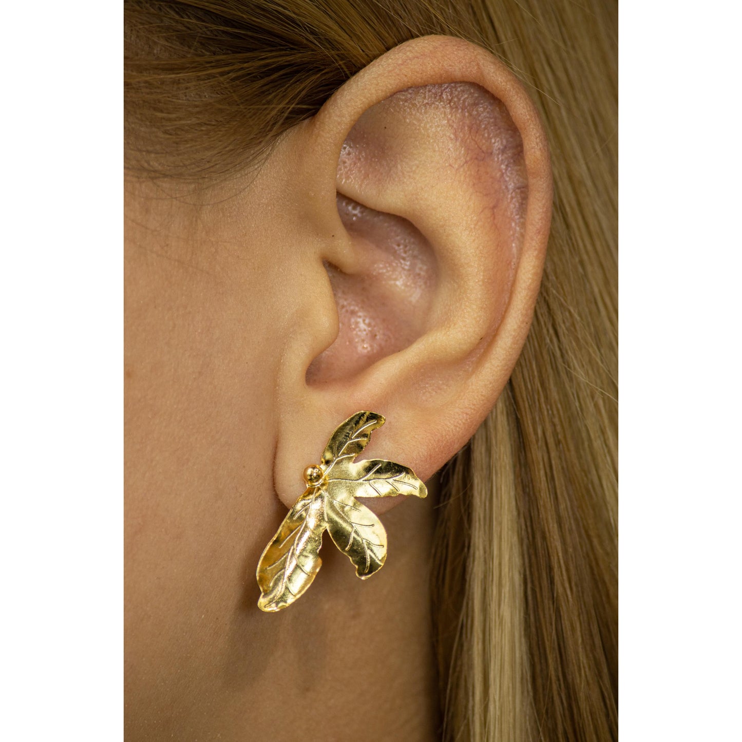 Arete Hoja