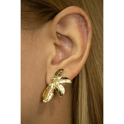 Arete Hoja