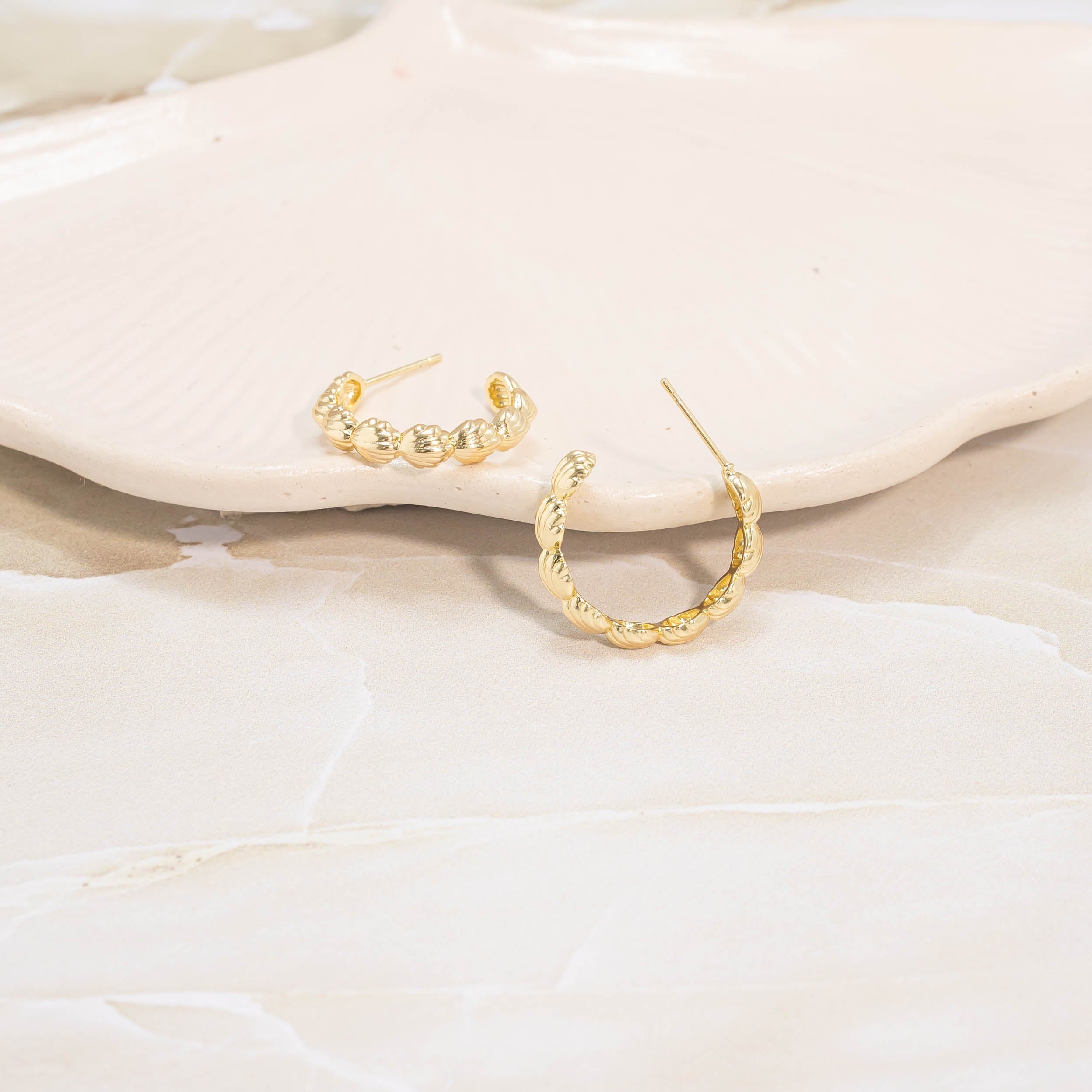 Candonga grande conchas