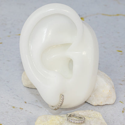 Cdga pequeña microzircones P (10mm)