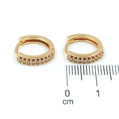 Cdga pequeña microzircones