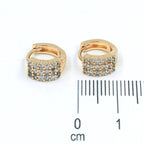 Cdga pequeña microzircones