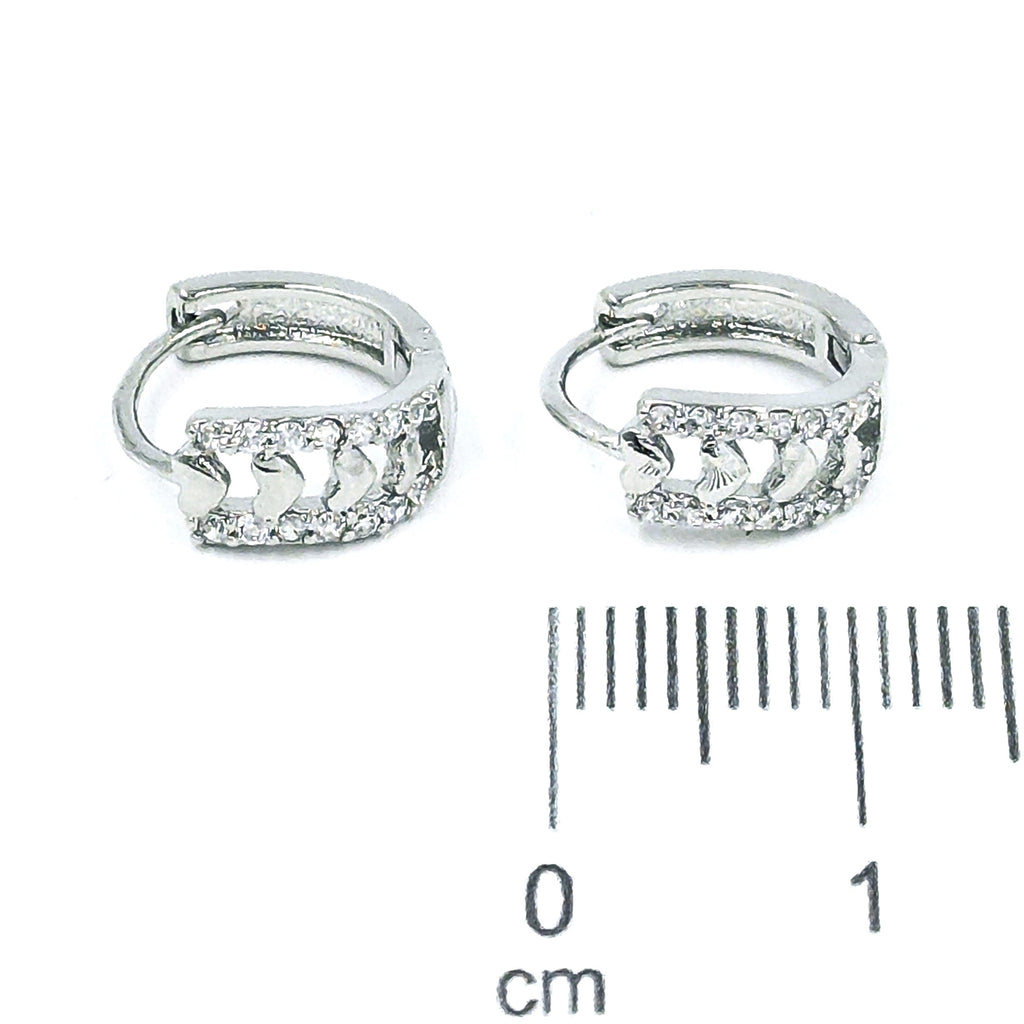 Cdga pequeña microzircones