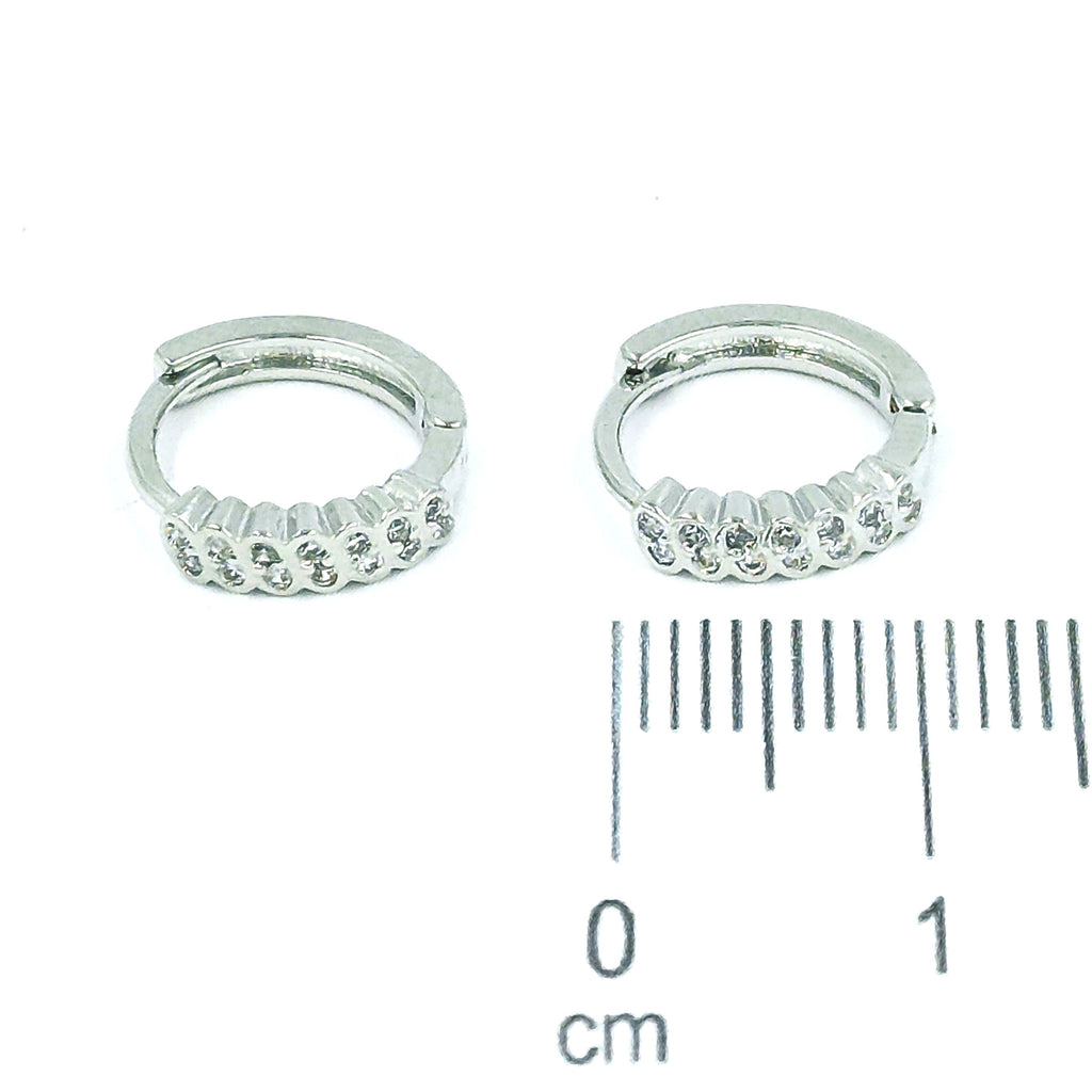 Cdga pequeña microzircones P