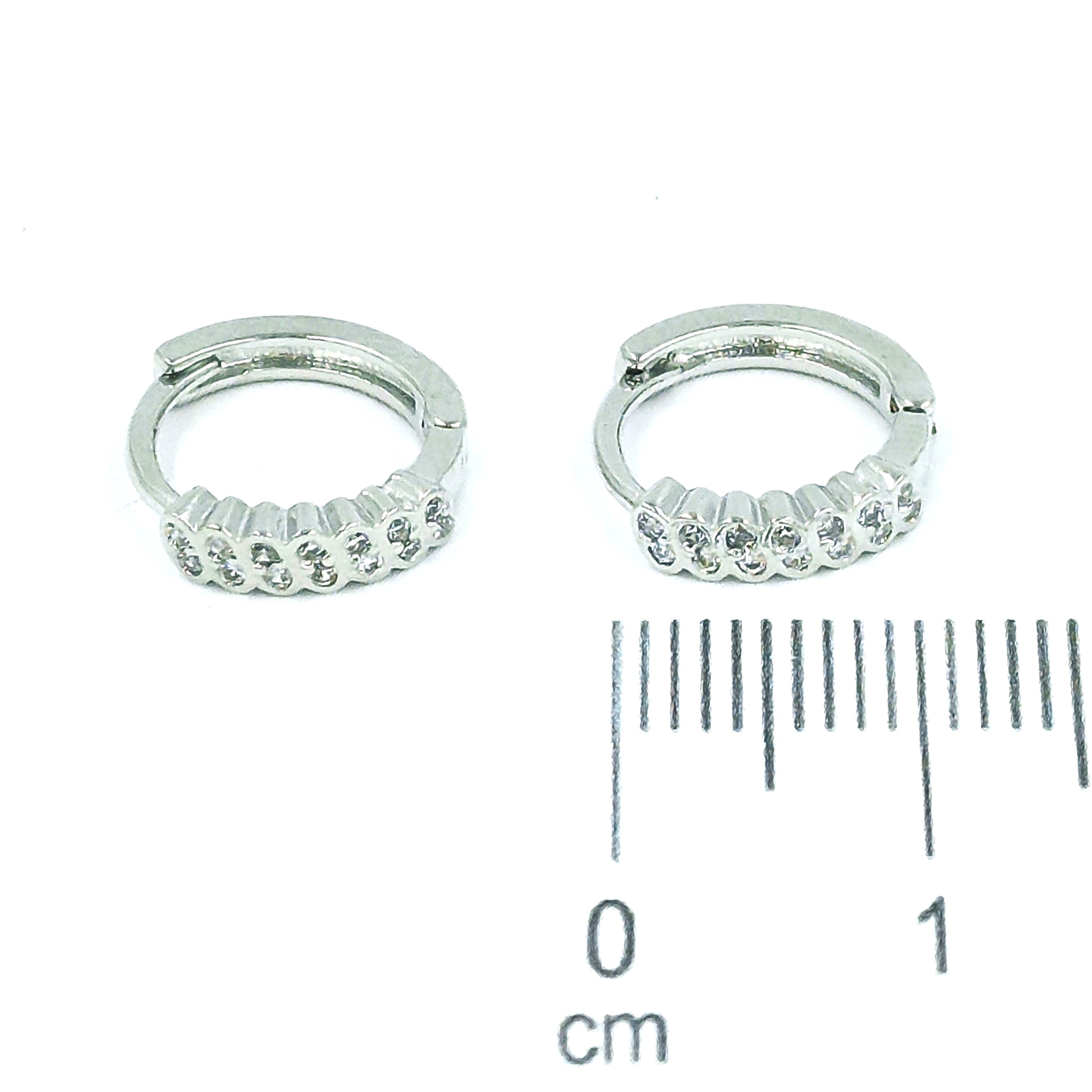 Cdga pequeña microzircones P