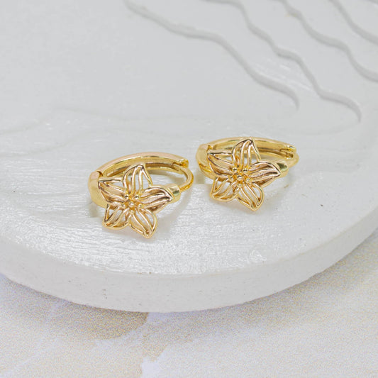 Accesorios CoverGold