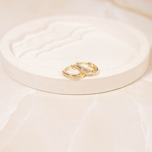 Candonga pequeña microzircon XP