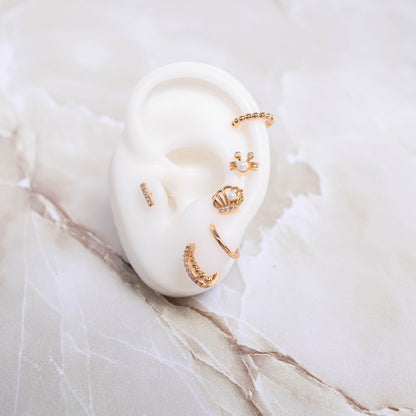 Accesorios CoverGold