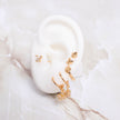 Accesorios CoverGold