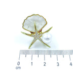 Broche concha nacar