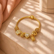 Accesorios CoverGold