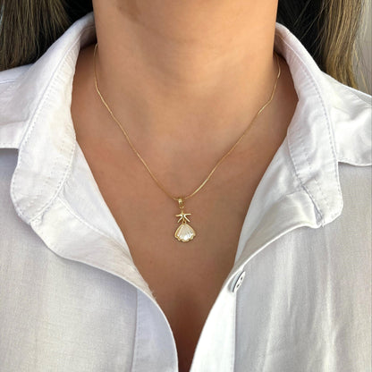 Collar rodio concha estrella