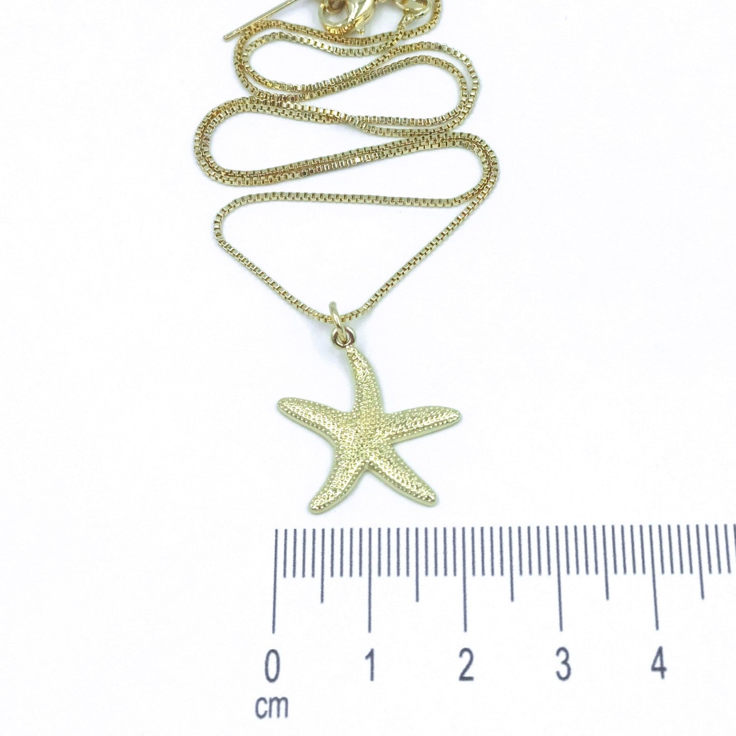 Collar rodio estrella mar