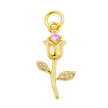 Dije rosa