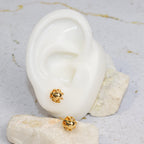 Topo balín encerrado (8mm)