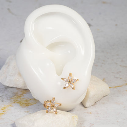 Topo flor zircones