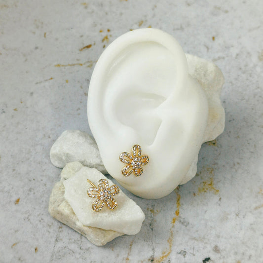 Topo microzircones