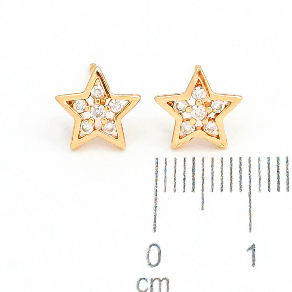 Topo estrella microzircones