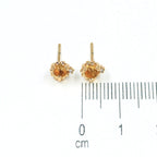 Topo leoncito cristal