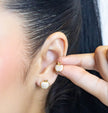 Topo manzana microzircones