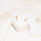 Topo seguridad estrella