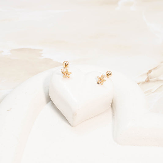 Topo seguridad estrella